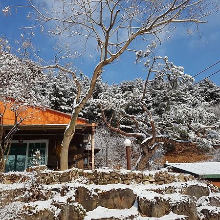 Bluesky Pension Pocheon Exterior foto